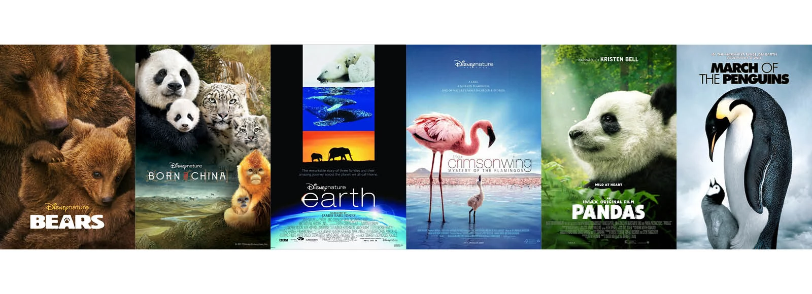 Nature Programming