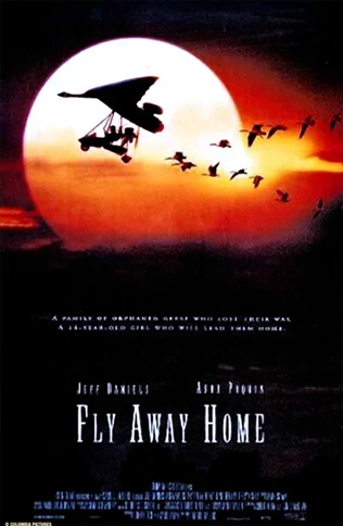 Fly Away Home